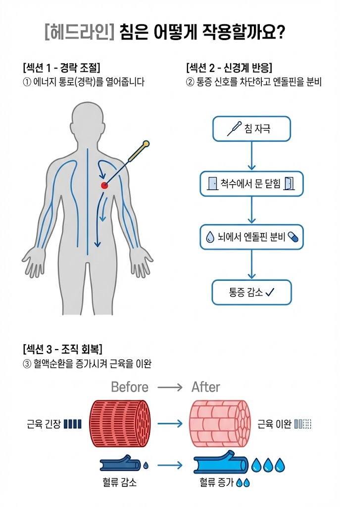 Gemini 직접 생성